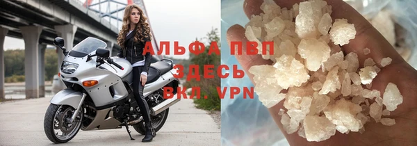 стафф Арсеньев