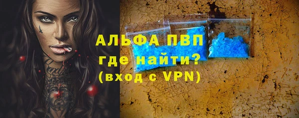 стафф Арсеньев