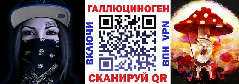 Галлюциногенные грибы Psilocybe сайты даркнета как зайти Сельцо
