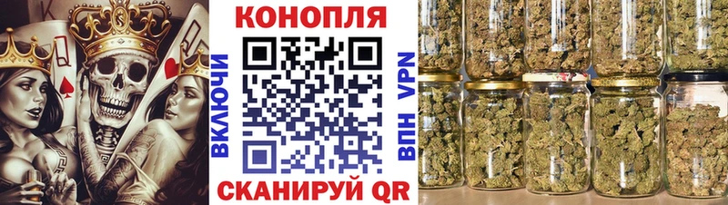 Шишки марихуана SATIVA & INDICA как найти Сельцо